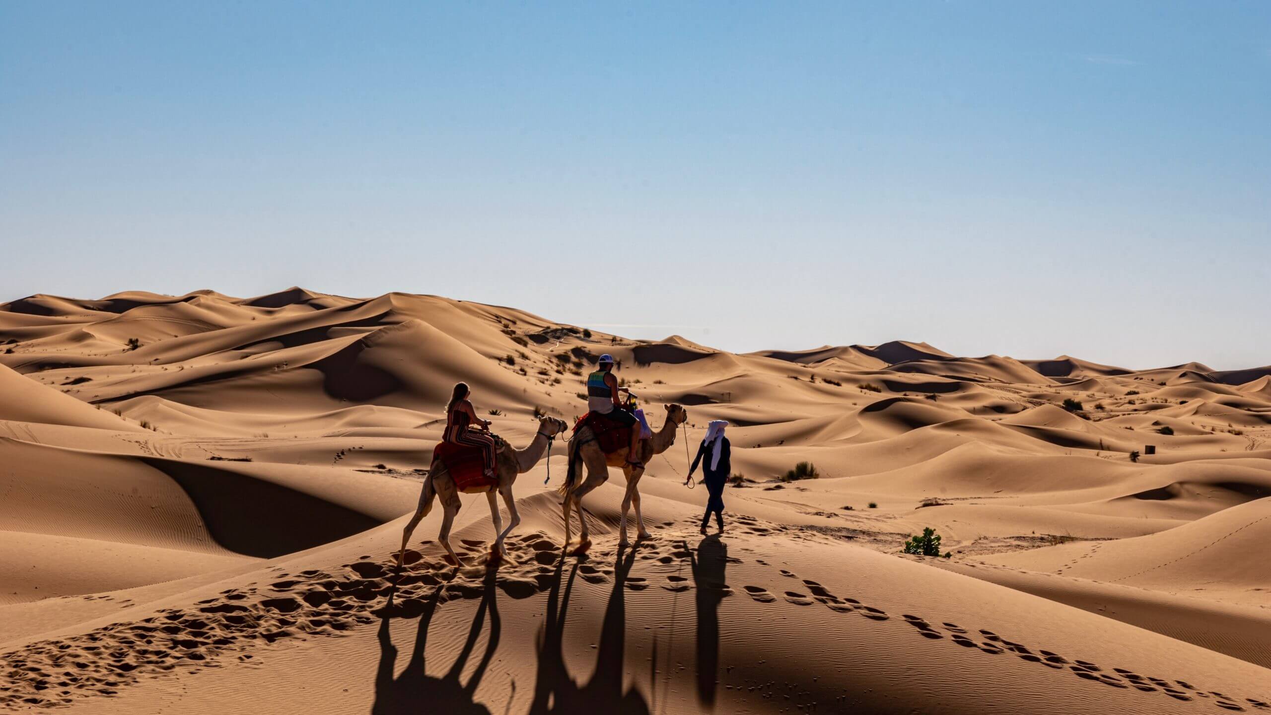 Discover Morocco's Great South: Authentic Moroccan Experience: A group of our clients are riding camels in the desert, surrounded by a vast expanse of sand and rock.