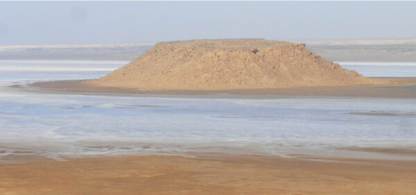 Uncover the hidden wonders of the Coastal Sahara with our exclusive 