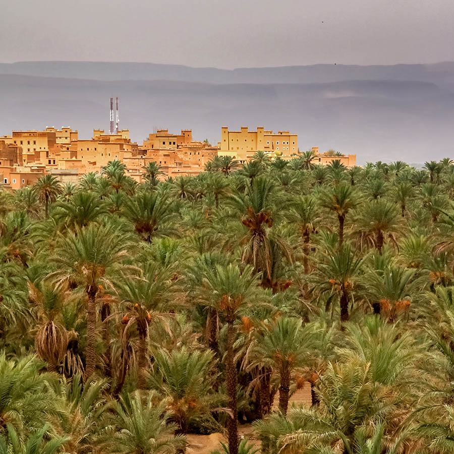 One of many Kasbah in Draa Valley, Morocco