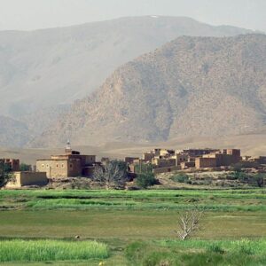 The Ait Bougumez valley in Morocco. This image is of a village in the desert. The scene is dominated by a large green field with buildings and mountains in the background. There are several trees scattered throughout the field, some with leaves and some without. In the foreground, there is lush grass growing close to the ground. A mosque can be seen on a dock in one corner of the image, while other small houses dot the landscape. The sky above is filled with fog or clouds, adding to its mysterious atmosphere.